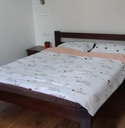 Transfer Apartment Leopoli Esterno foto